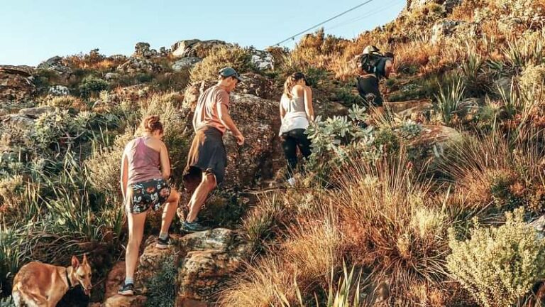 Table Mountain Hike Via India Venster Route
